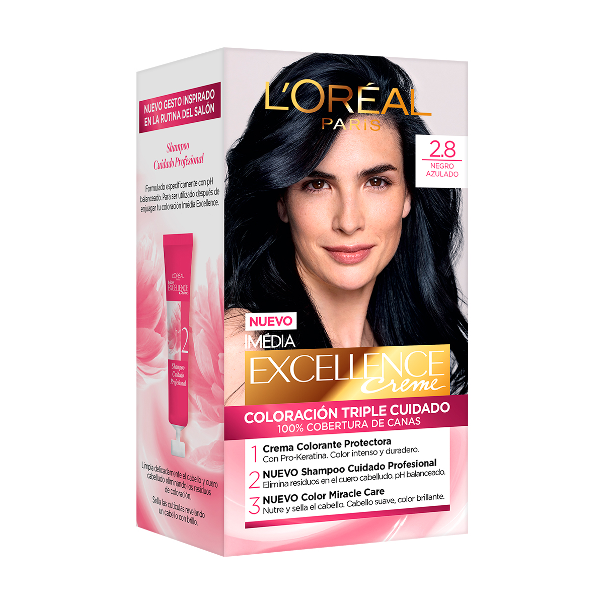 Excellence Creme Tinte Kit 2.8